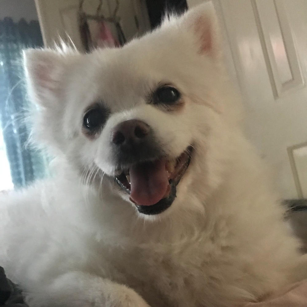 Meet your Posher, Brooke